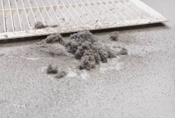 Best HVAC Air Duct Cleaning  in Blue Island, IL