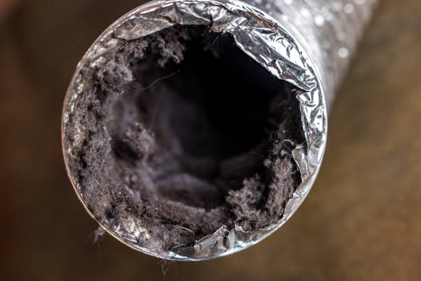 Best Ductwork Cleaning Services  in Blue Island, IL
